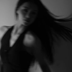 巷子里的猫很自由