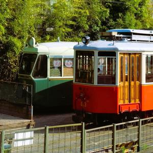 turn heads (feat. capsuladisalvataggio)