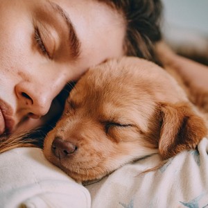 Melodía Acogedora Para Cachorro