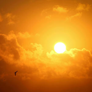 Better with Kindness