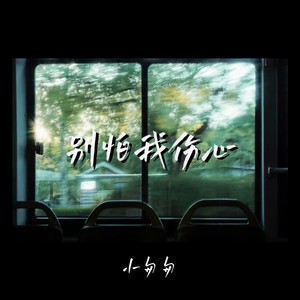 别怕我伤心 (DJ版)