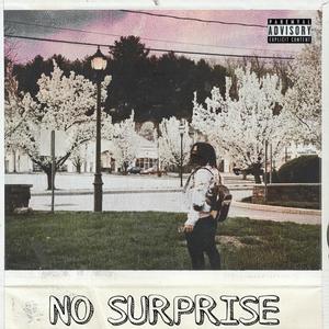 No Surprise(feat. Dayaftermolly) (Explicit)