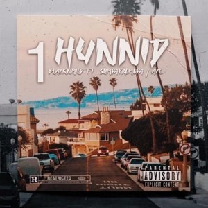 1 Hunnid (feat. Slim da Promoda & Ace) [Explicit]