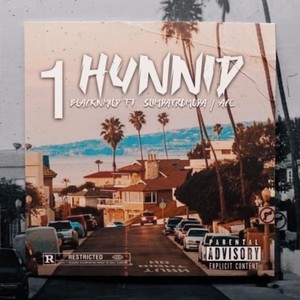 1 Hunnid(feat. Slim da Promoda & Ace) (Explicit)