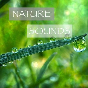 Nature Sounds