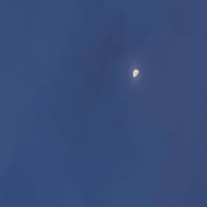 this old house (feat. _warwick)