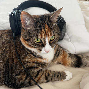 Up In That Mode (Explicit)