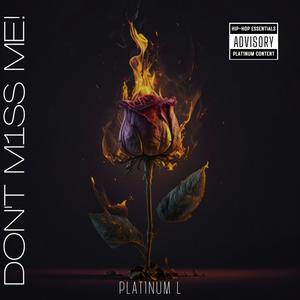 DONT MISS ME (Explicit)