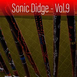 Sonic Didge, Vol. 9