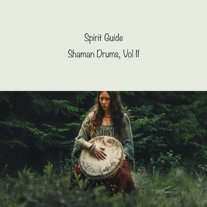 Shaman Drums, Vol II