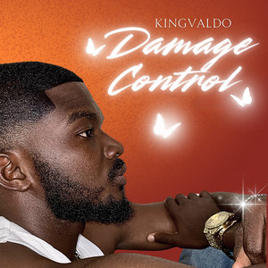 Damage Control (Explicit)