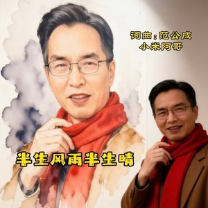 半生风雨半生晴 (伴奏)