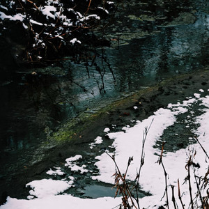 春雪（Spring Snow)