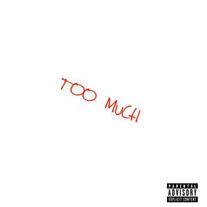 Too Much (Explicit)