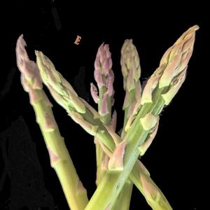 Bruh (feat. Levi Saelua)