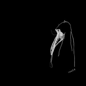 Two Spirits