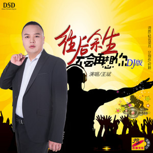 往后余生不会再想你 (DJ何鹏版)