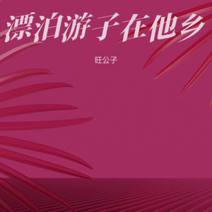 漂泊游子在他乡