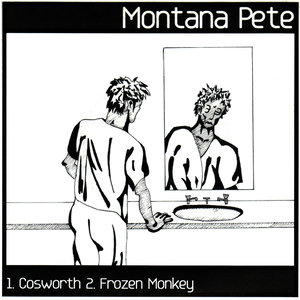 Cosworth - Frozen Monkey