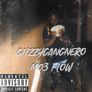 MO3 Flow (Explicit)