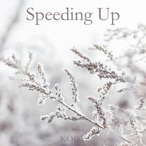 Speeding Up