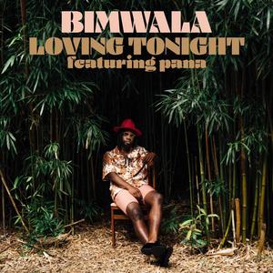 Loving Tonight(feat. Pana) (French Version)