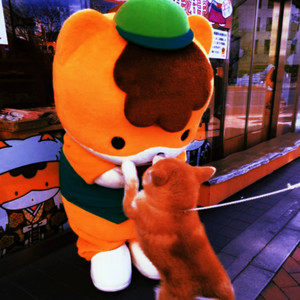 Te Amaré Hasta El Fin