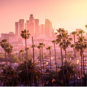 City Lights Shadows Play