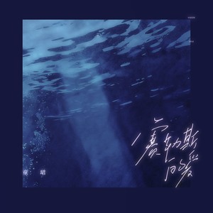 赛勒斯的爱 (DJ版)封面