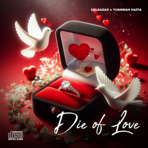 Die Of Love (Remix)