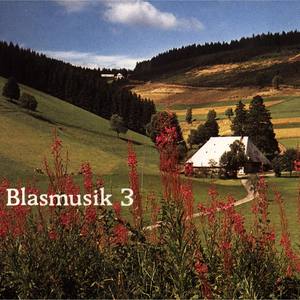 Blasmusik (3)