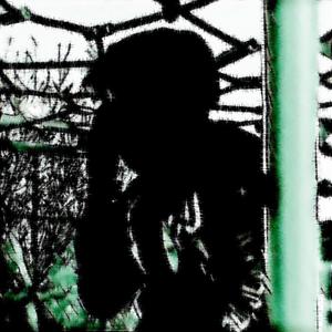 NOT GONNA DIE (feat. SAKU, olshak! & Codin) (Explicit)