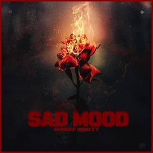 SAD MOOD Pt. 2 (feat. WhosJV) (Explicit)