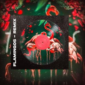 Flamingos (Remix)