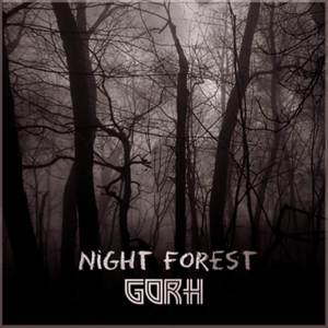 Night Forest