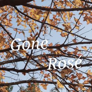 Gone （cover by Rosé）