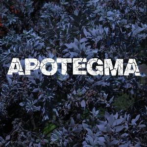 Apotegma (feat. Llacs)