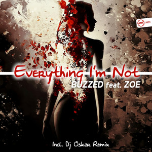 Everyting I'm Not (DJ Oskar Remix)