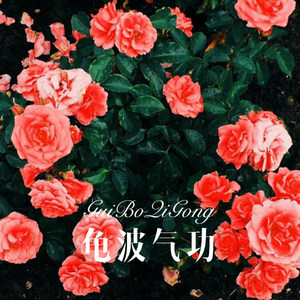 龟波气功 (Remix)封面