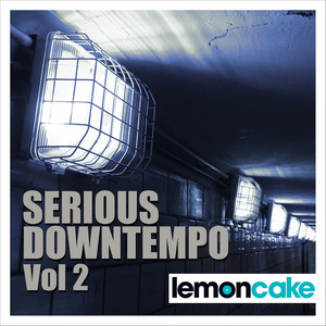 Serious Downtempo, Vol. 2