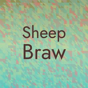 Sheep Braw