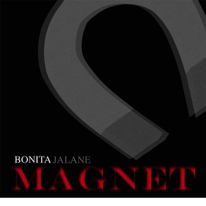 Magnet