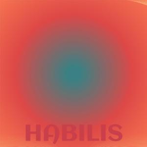 Habilis