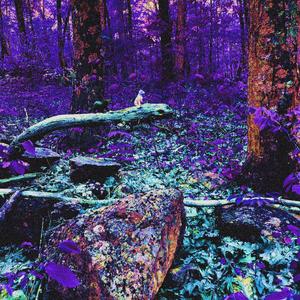 love, sabunari (feat. The Lover) (Explicit)