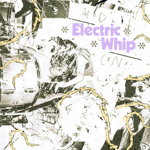 Electric Whip