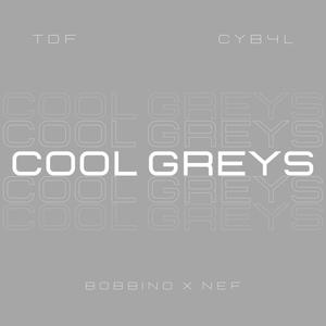 Cool Greys (feat. TakeDoughNef) [Explicit]