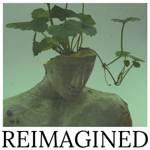 Reimagined