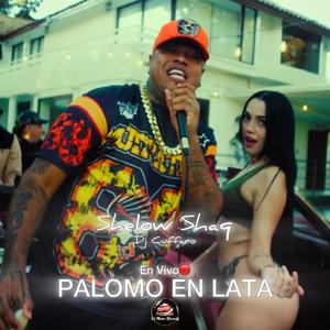 Palomo En Lata + En Vivo (feat. Shelow Shaq & Dj Cuffaro)