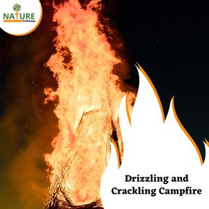 Drizzling and Crackling Campfire