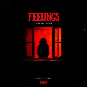 FEELINGS